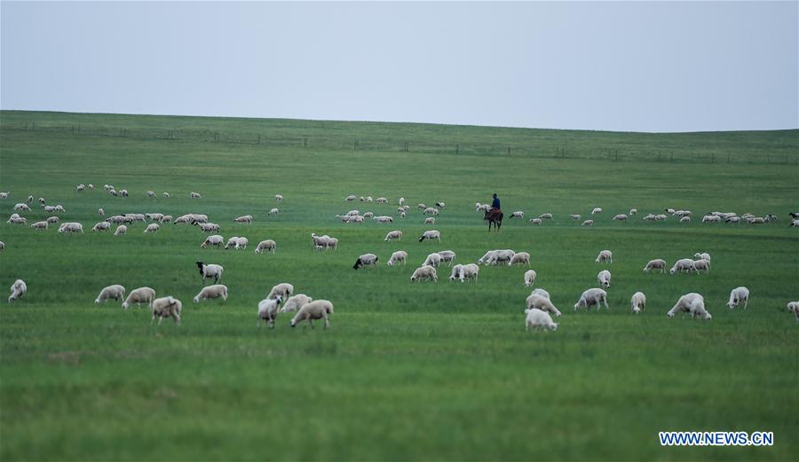 CHINA-INNER MONGOLIA-GRASSLAND-PROTECTION(CN)