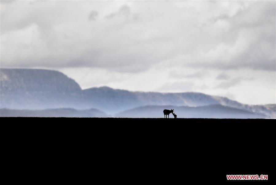 XINHUA-PICTURES OF THE YEAR 2017-CHINA