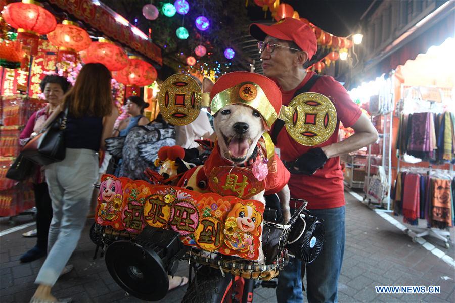 SINGAPORE-CHINATOWN-NEW YEAR LANTERN