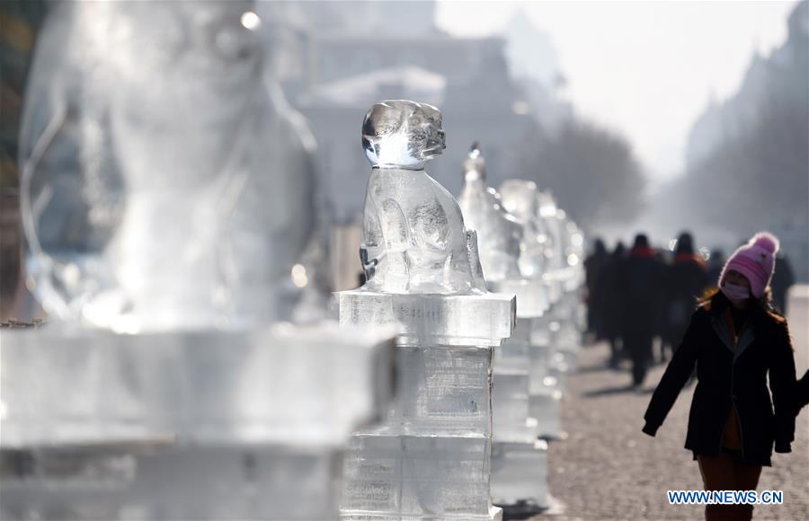 CHINA-HARBIN-COLD WEATHER (CN)