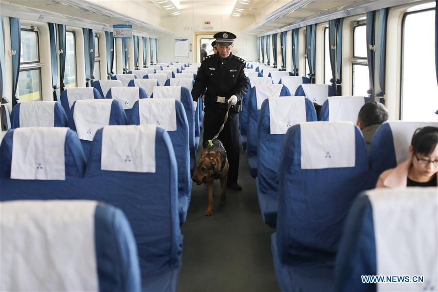 CHINA-GUIYANG-POLICE DOG (CN)