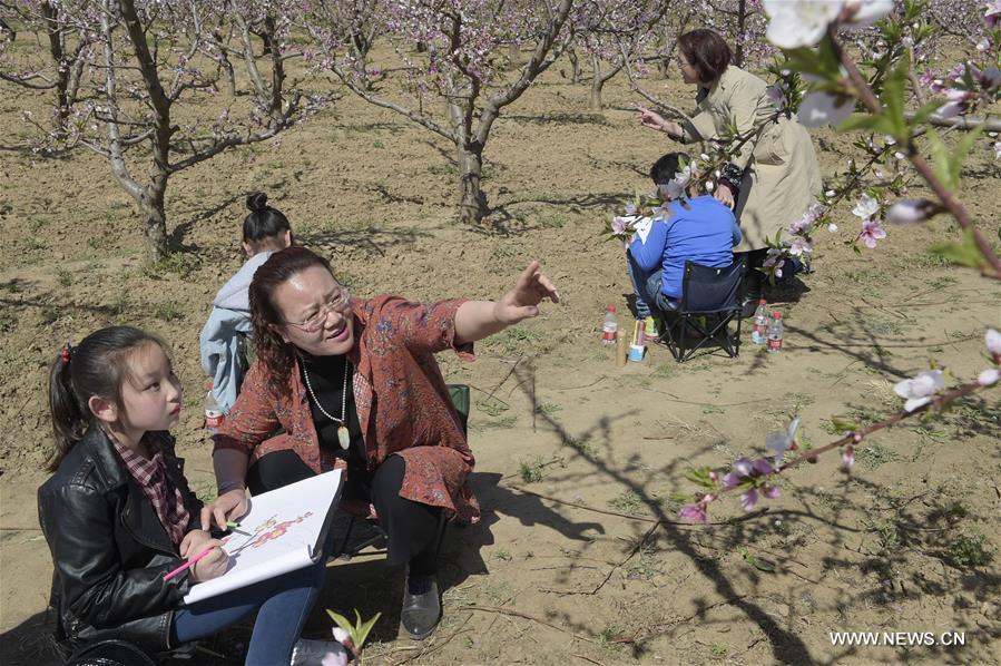 CHINA-HEBEI-PEACH FIELD-ART LESSON (CN)