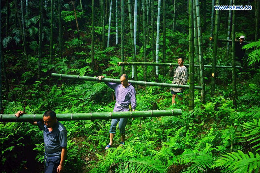 #CHINA-GUANGXI-BAMBOO WINE INDUSTRY (CN)