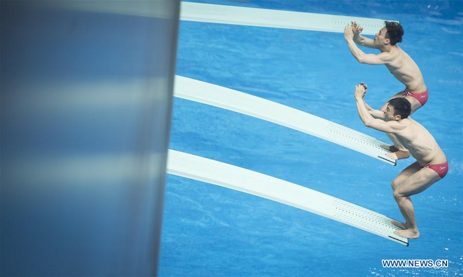 (SP)CHINA-WUHAN-DIVING-FINA-WORLD CUP (CN)