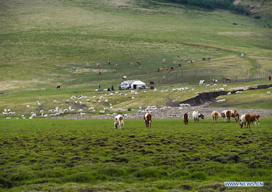 CHINA-INNER MONGOLIA-CHIFENG-GRASSLAND (CN)