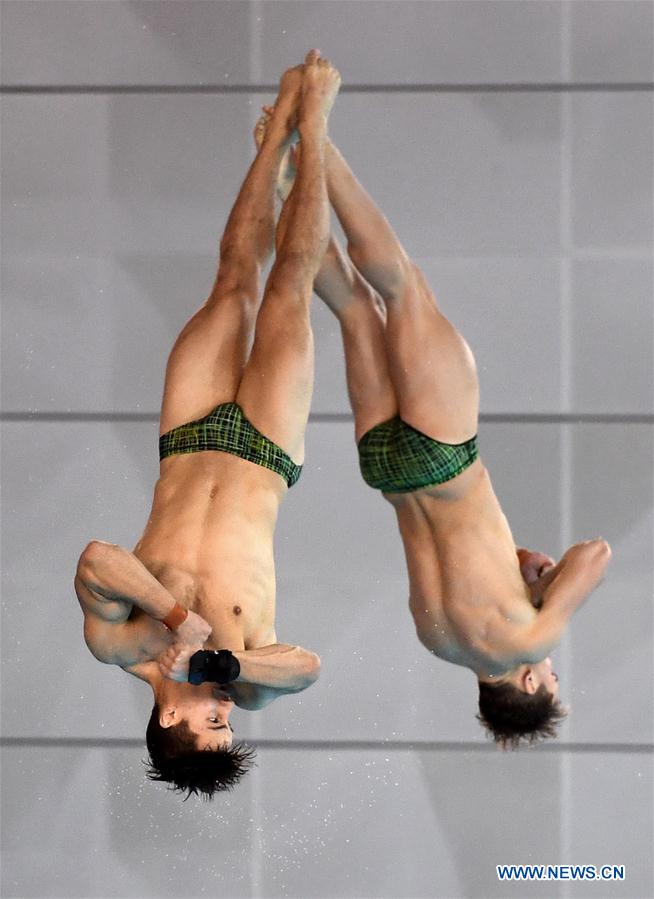 (SP)CHINA-WUHAN-DIVING-FINA-WORLD CUP (CN)