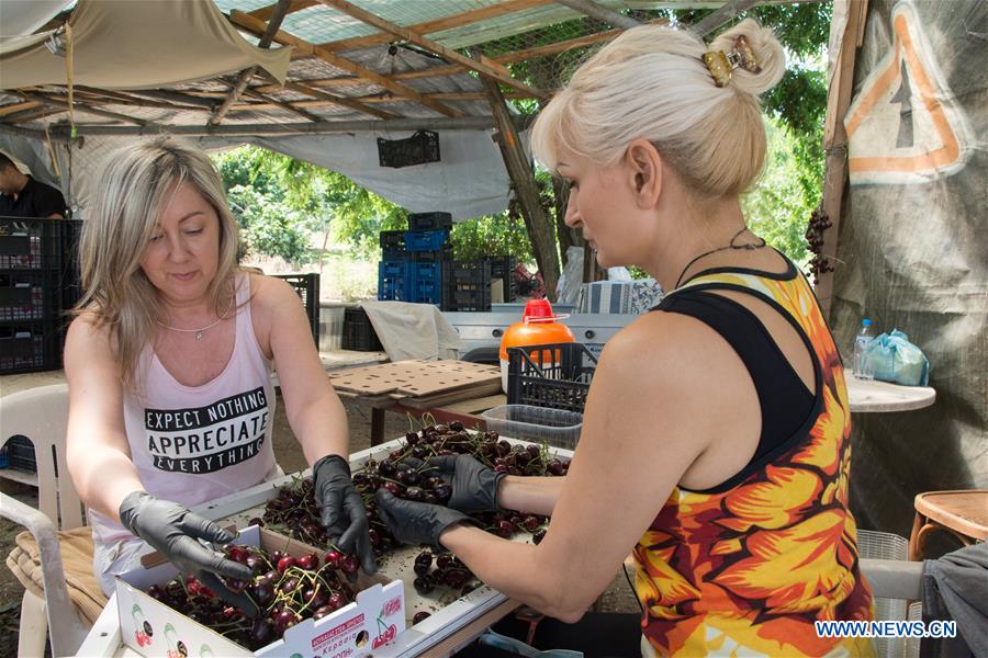 GREECE-METAXOCHORI-CHERRY FESTIVAL