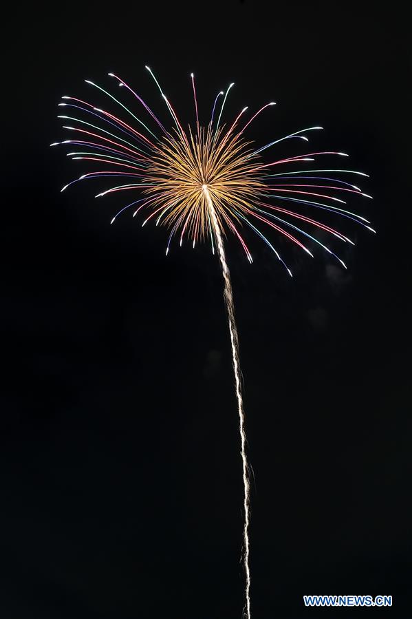 JAPAN-TOKYO-FIREWORKS