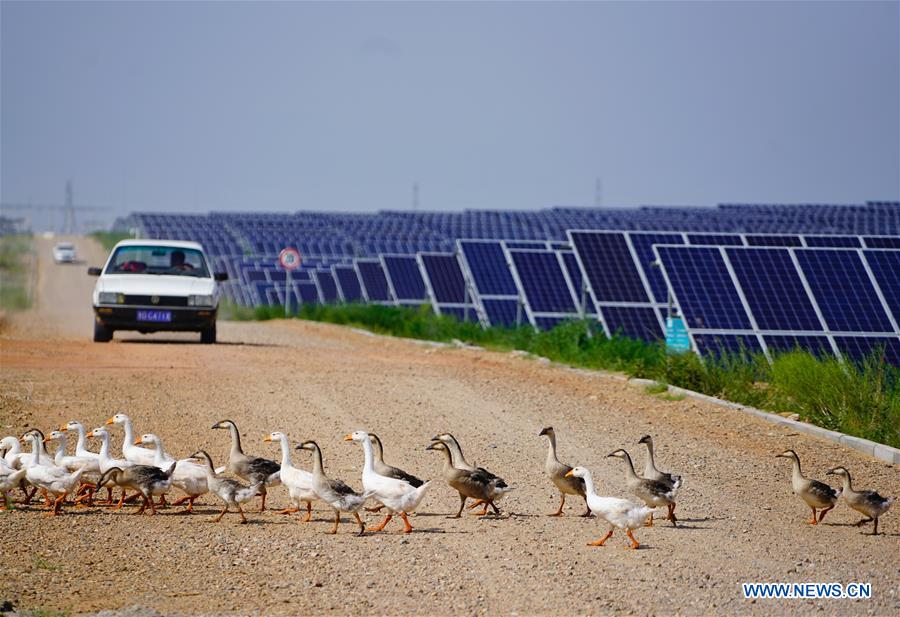 CHINA-INNER MONGOLIA-KUBUQI-DESERT CONTROL (CN)