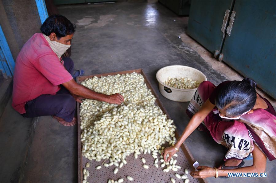 INDIA-TRIPURA-SILK MILL