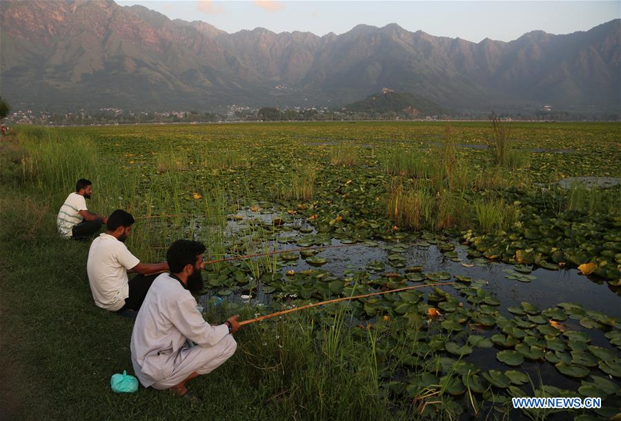 KASHMIR-SRINAGAR-DAL LAKE-DAILY LIFE