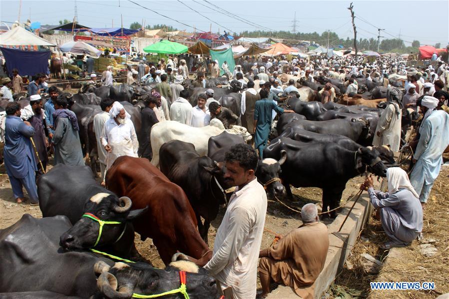 PAKISTAN-PESHAWAR-EID AL-ADHA