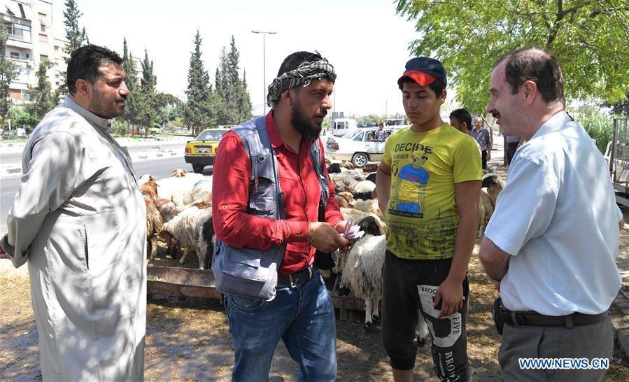 SYRIA-DAMASCUS-EID AL-ADHA-LIVESTOCK MARKET