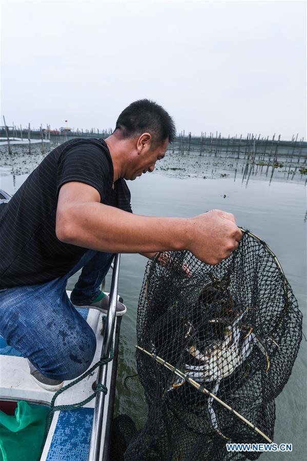 CHINA-ZHEJIANG-HUZHOU-TAIHU LAKE-CRAB (CN)