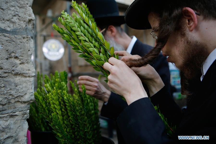 MIDEAST-JERUSALEM-SUKKOT-PREPARATION