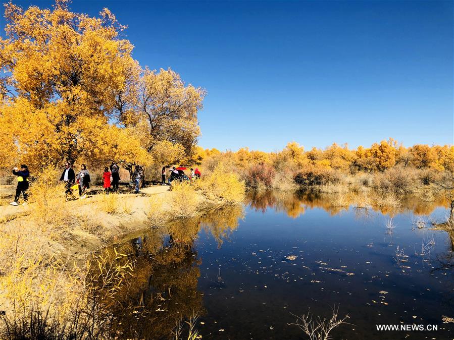 #CHINA-JIUQUAN-POPULUS EUPHRATICA-AUTUMN SCENERY (CN)