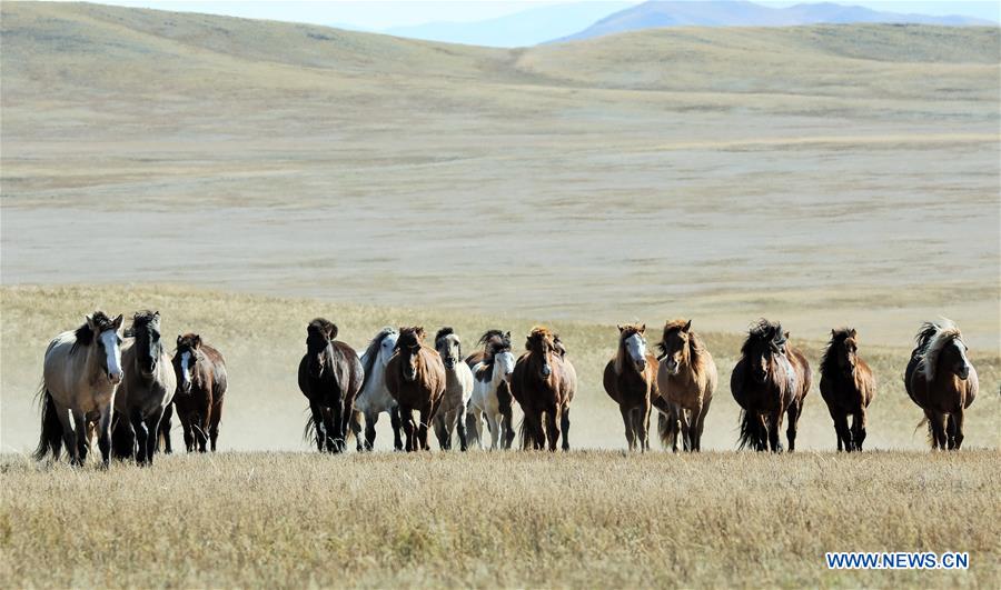 MONGOLIA-SCENERY-DAILY LIFE