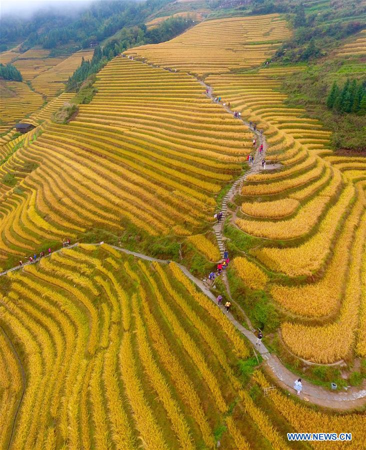 CHINA-GUANGXI-TERRACED FIELD-SCENERY (CN)