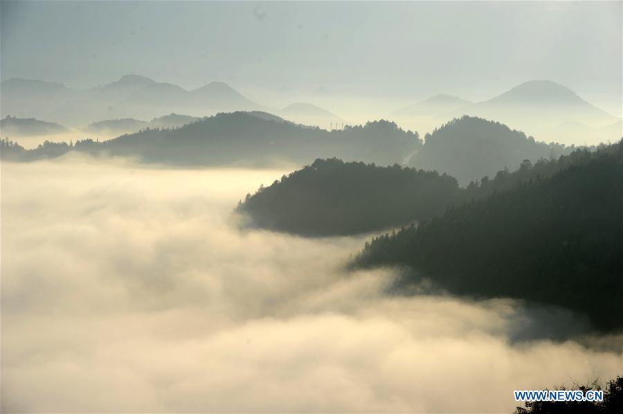 CHINA-GUIZHOU-TONGREN-ADVECTION FOG (CN)