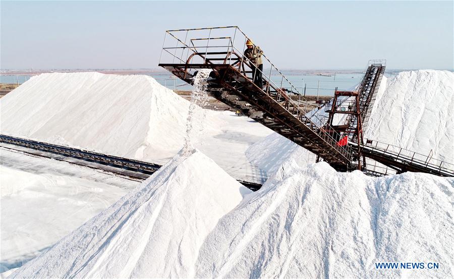 CHINA-TANGSHAN-SEA SALT-HARVEST (CN)