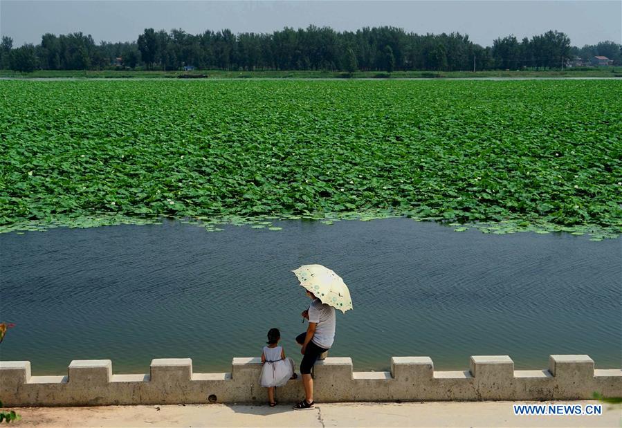 CHINA-HENAN-RURAL REVITALIZATION (CN)