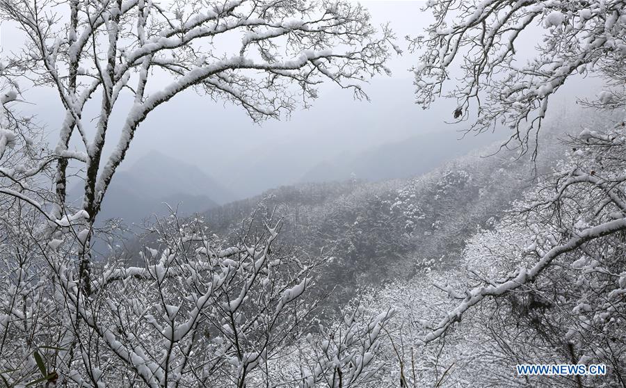 CHINA-SHAANXI-GUIGULING-VIEWS (CN)