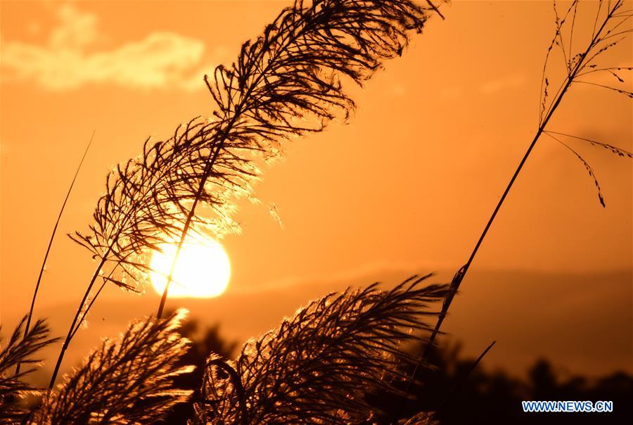 #CHINA-HAINAN-QIONGHAI-EVENING GLOW (CN)