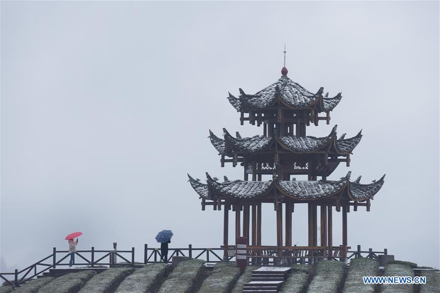 #CHINA-HUBEI-TEA GARDEN-SNOW (CN)