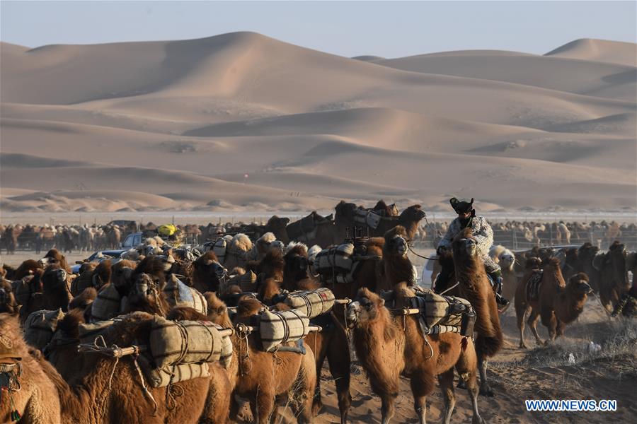 CHINA-INNER MONGOLIA-CAMEL NADAM (CN)