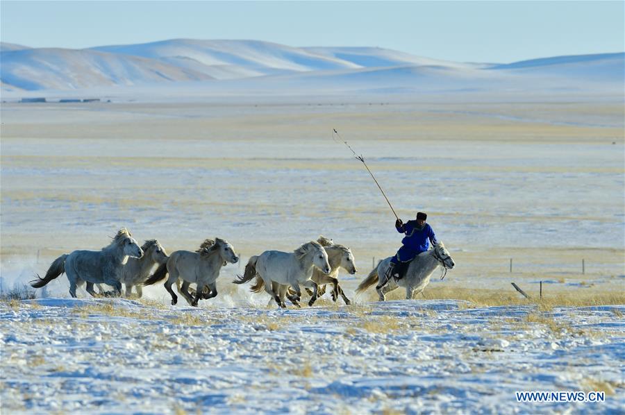 CHINA-INNER MONGOLIA-LASSOING (CN)