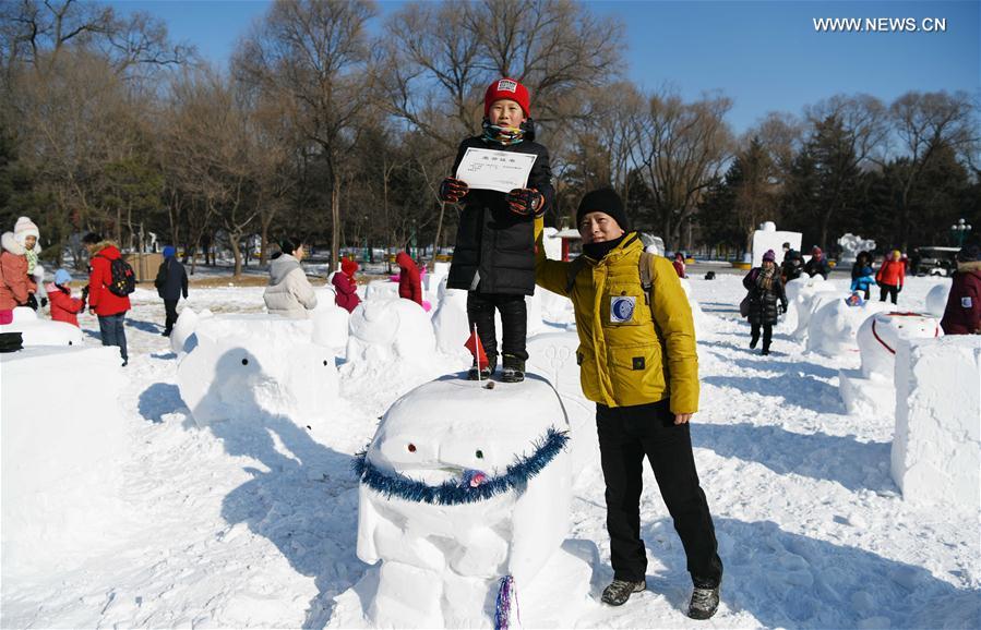 CHINA-HARBIN-FAMILY SNOW SCULPTURE COMPETITION (CN)