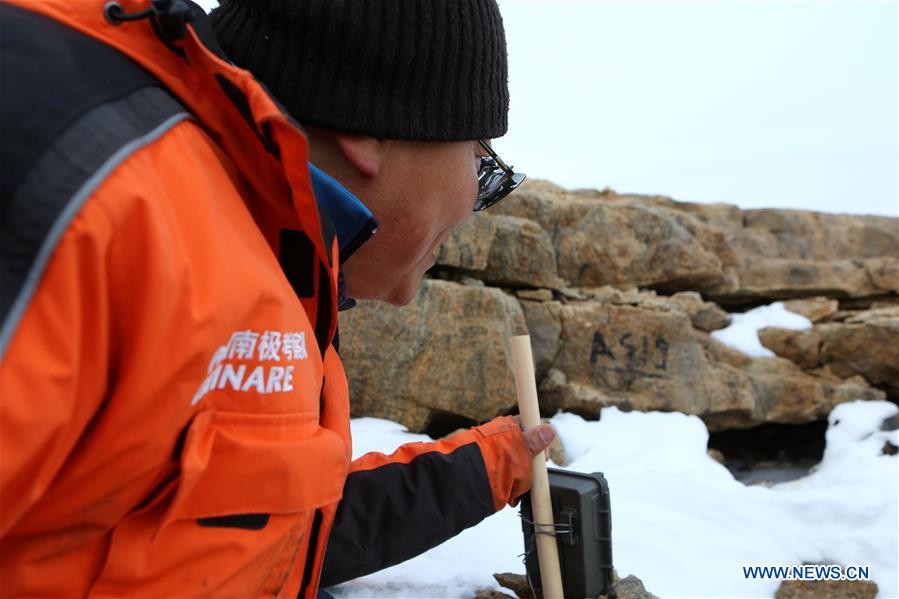 ANTARCTICA-CHINA-ZHONGSHAN STATION-SNOW PETREL