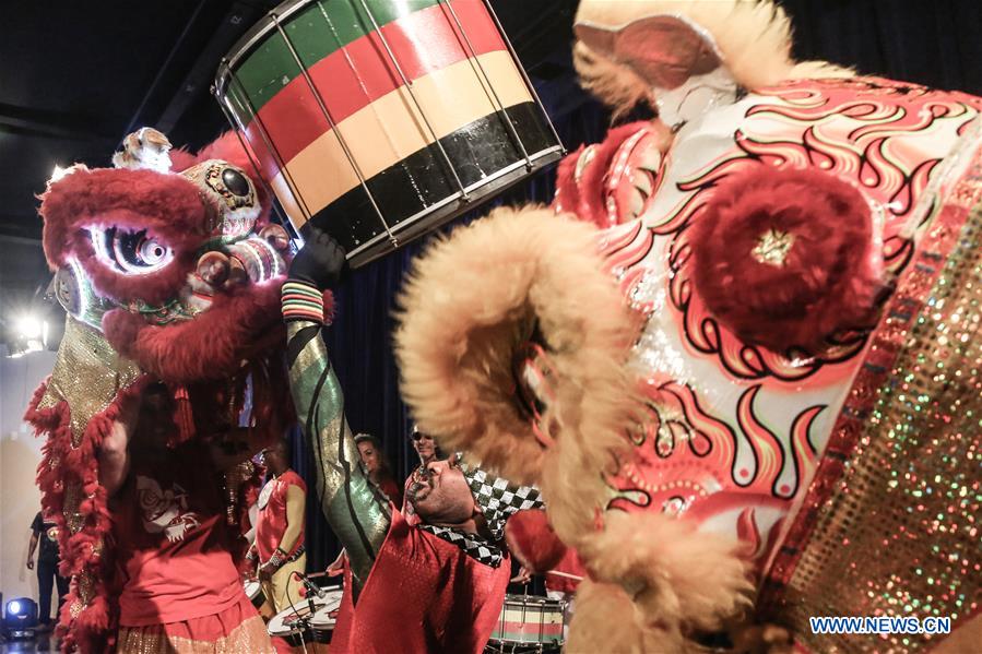 BRAZIL-SAO PAULO-LION DANCE AND DRUM PERFORMANCE