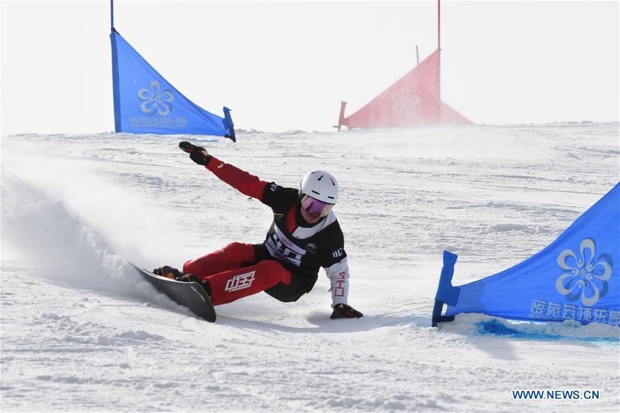 (SP)CHINA-HEBEI-ZHANGJIAKOU-FIS SNOWBOARD-PARALLEL SLALOM(CN)