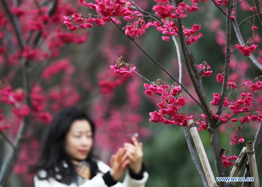 #CHINA-SPRING-FLOWERS (CN)