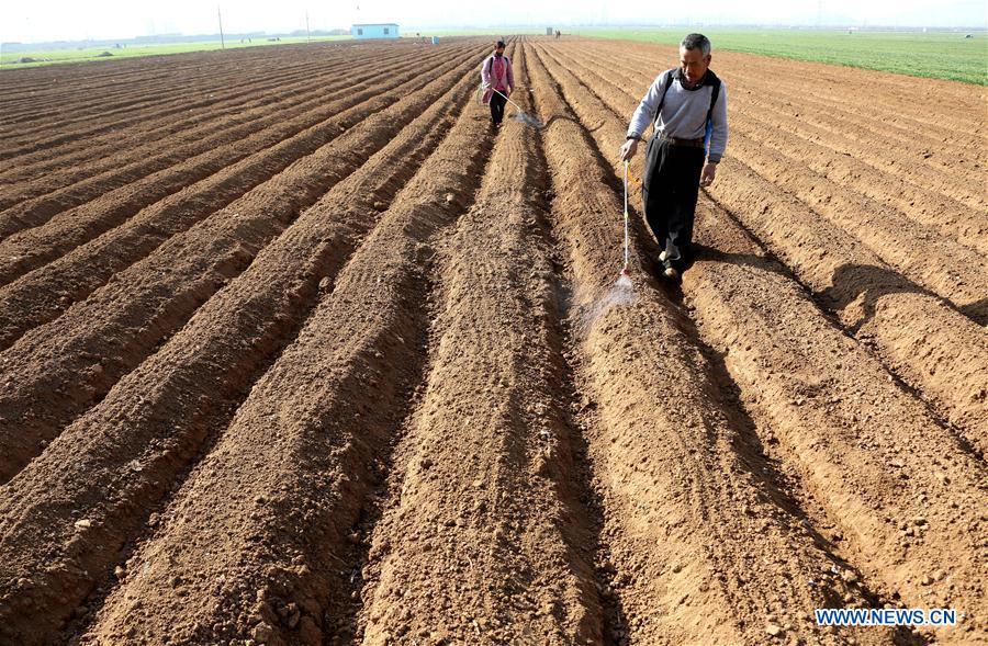 #CHINA-JINGZHE-FARM WORK (CN)