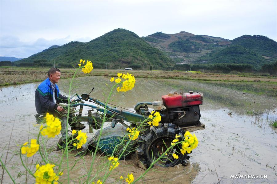 #CHINA-JINGZHE-FARM WORK