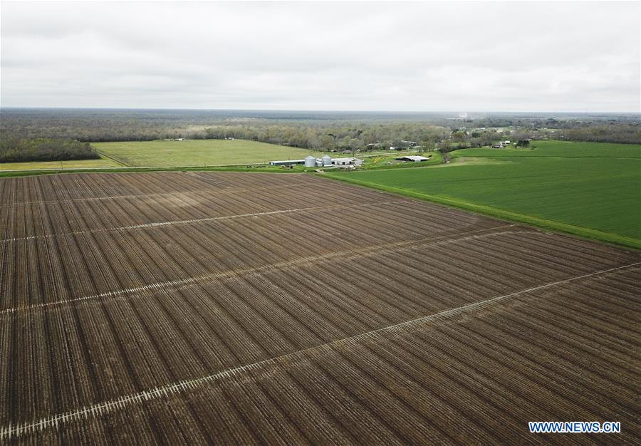 U.S.-LOUISIANA-FARMER-BUSINESS