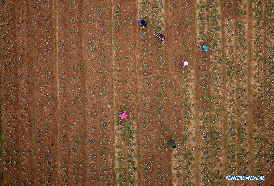 #CHINA-SPRING-FARMING (CN)