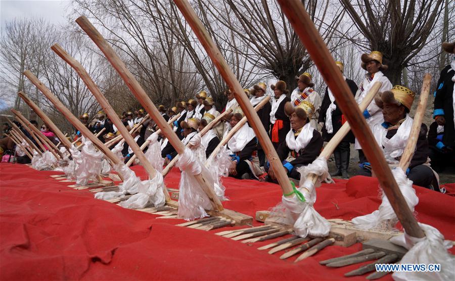 CHINA-TIBET-SPRING PLOWING (CN)