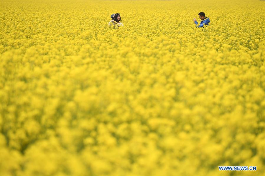 XINHUA PHOTOS OF THE DAY