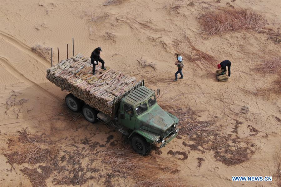 CHINA-INNER MONGOLIA-ORDOS-DESERTIFICATION CURBING (CN)