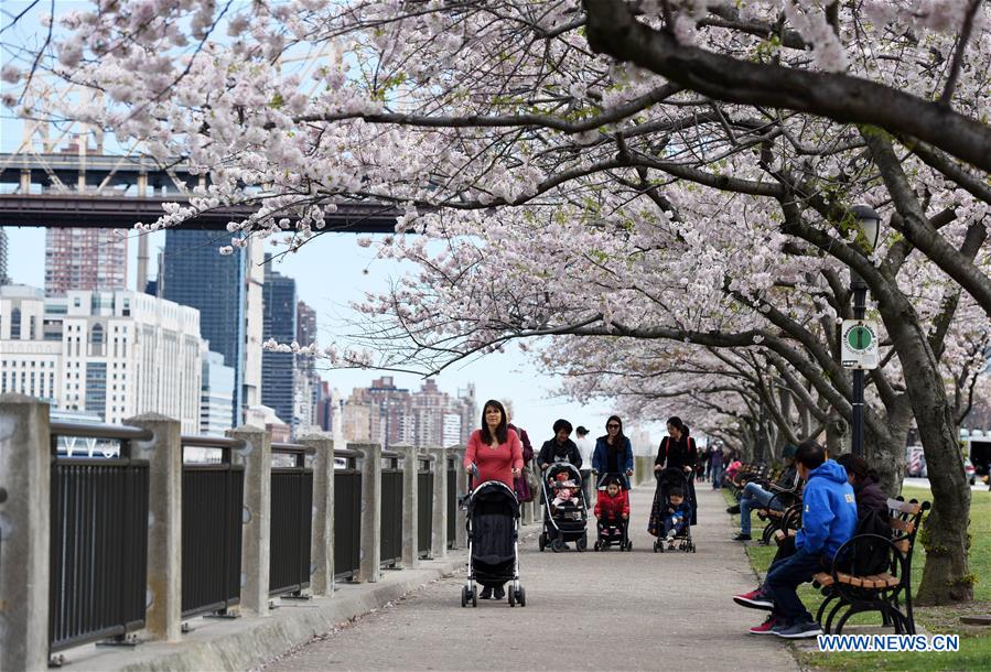  U.S.-NEW YORK-SPRING-SCENERY