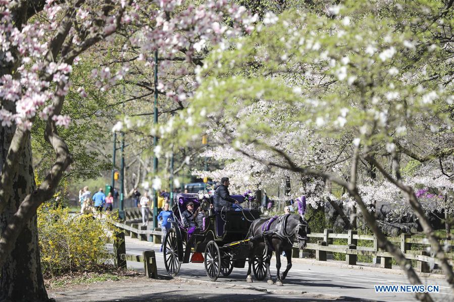 U.S.-NEW YORK-CENTRAL PARK