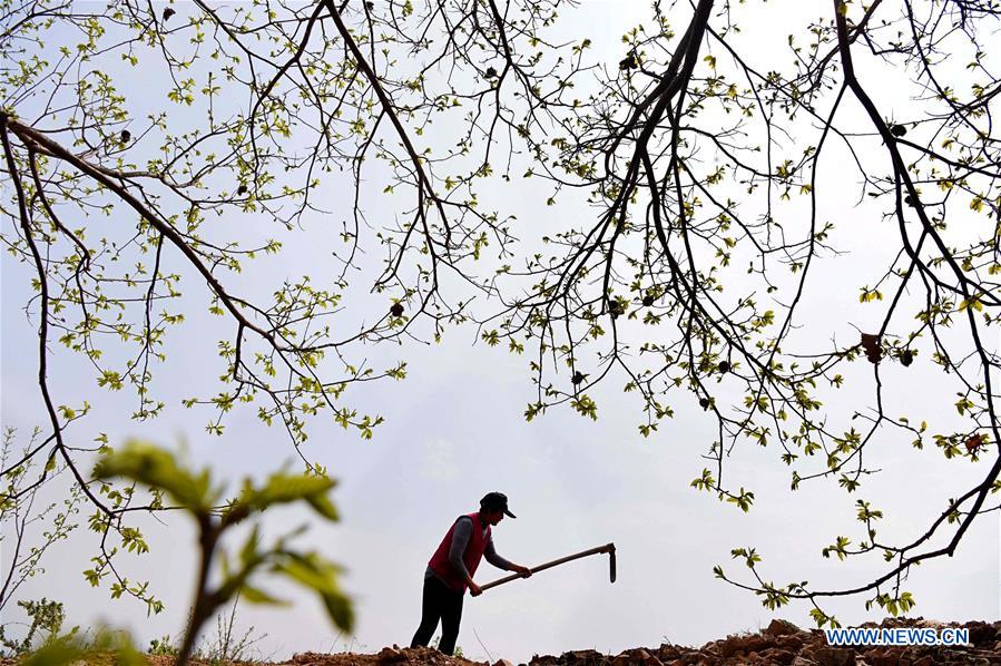 #CHINA-AGRICULTURE-FARM WORK (CN)