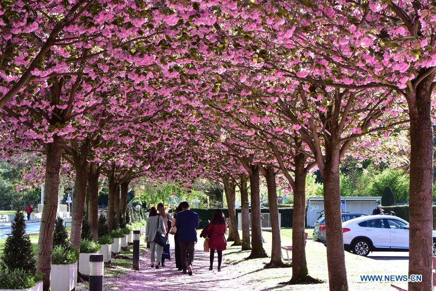 SWITZERLAND-GENEVA-FLOWERS