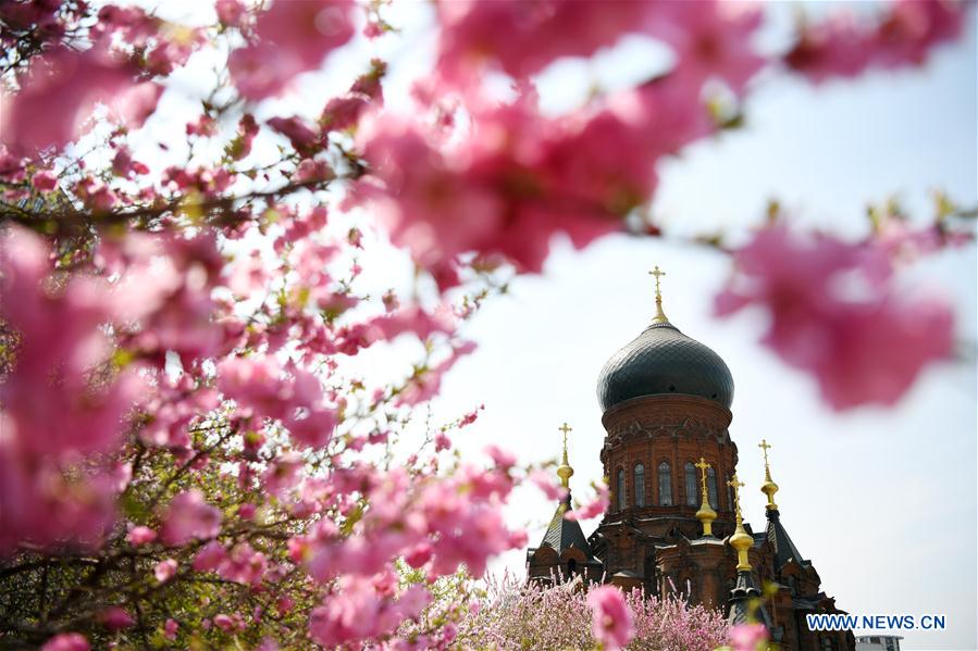 CHINA-HEILONGJIANG-HARBIN-CATHEDRAL (CN)