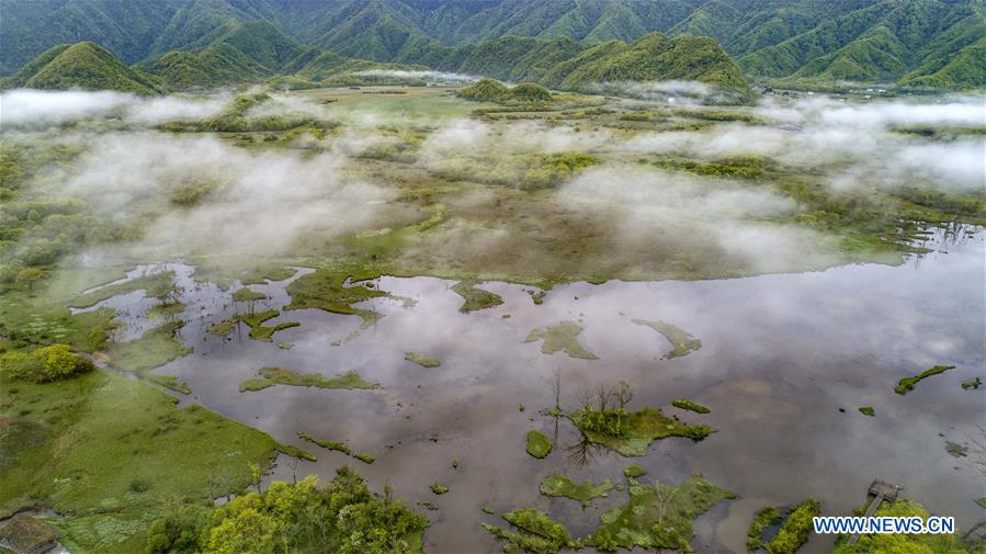 CHINA-HUBEI-SHENNONGJIA-SCENERY (CN)