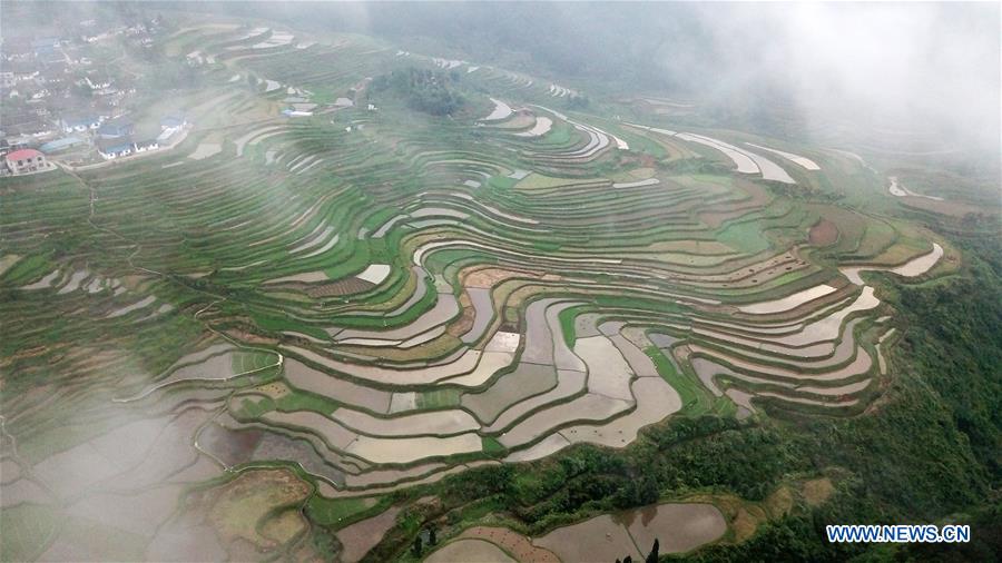 CHINA-GUIZHOU-DANZHAI-TERRACED FIELDS (CN)