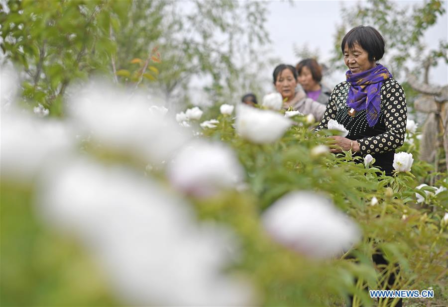 CHINA-NINGXIA-POVERTY ALLEVIATION (CN)